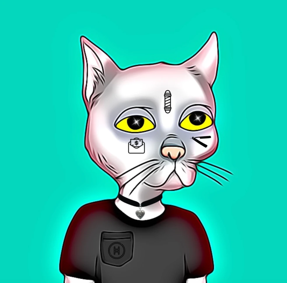 #18 Hash Cat