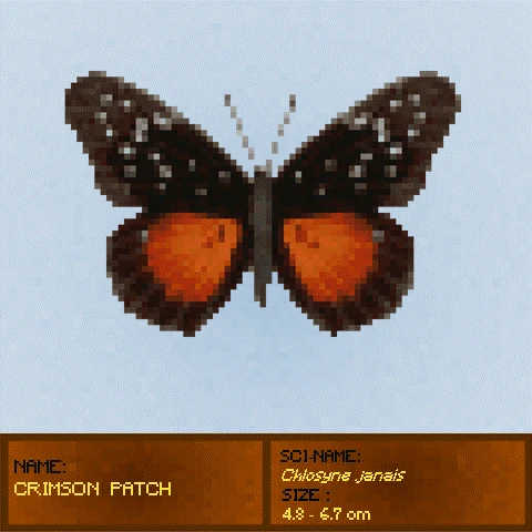 #20 Crimson Patch