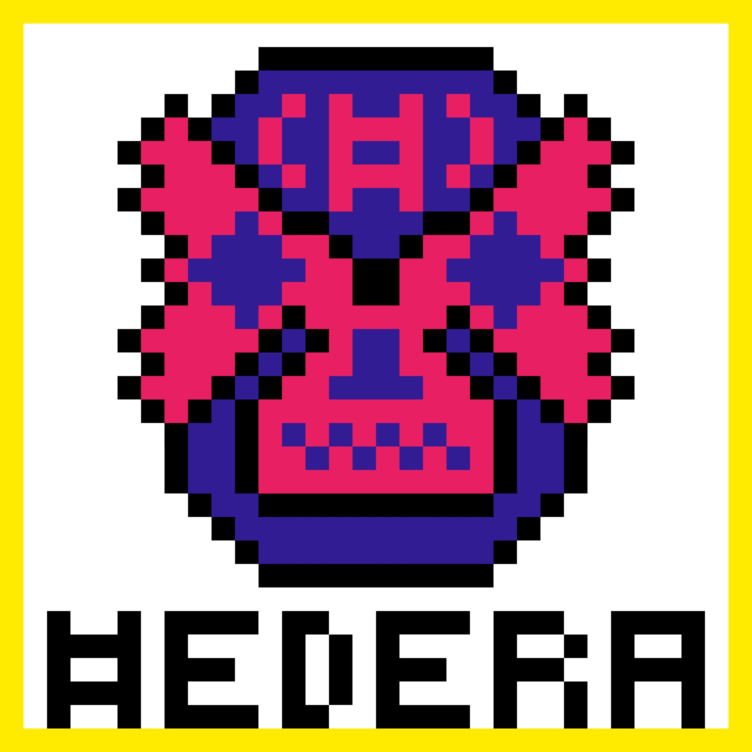 #16 Pixel Luchado
