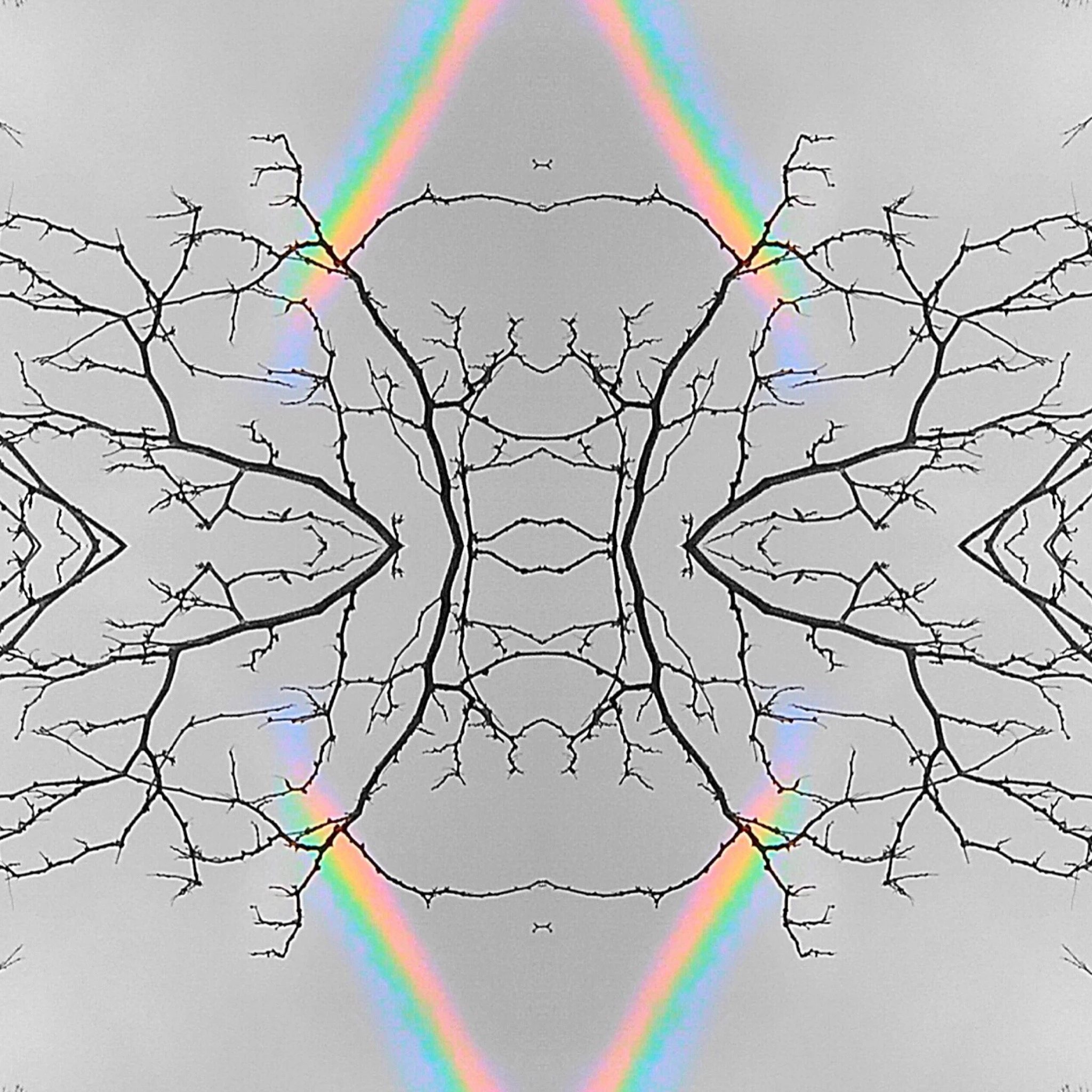 #1 Prism