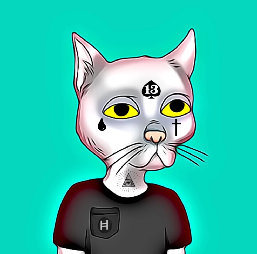 #3 Hash Cat