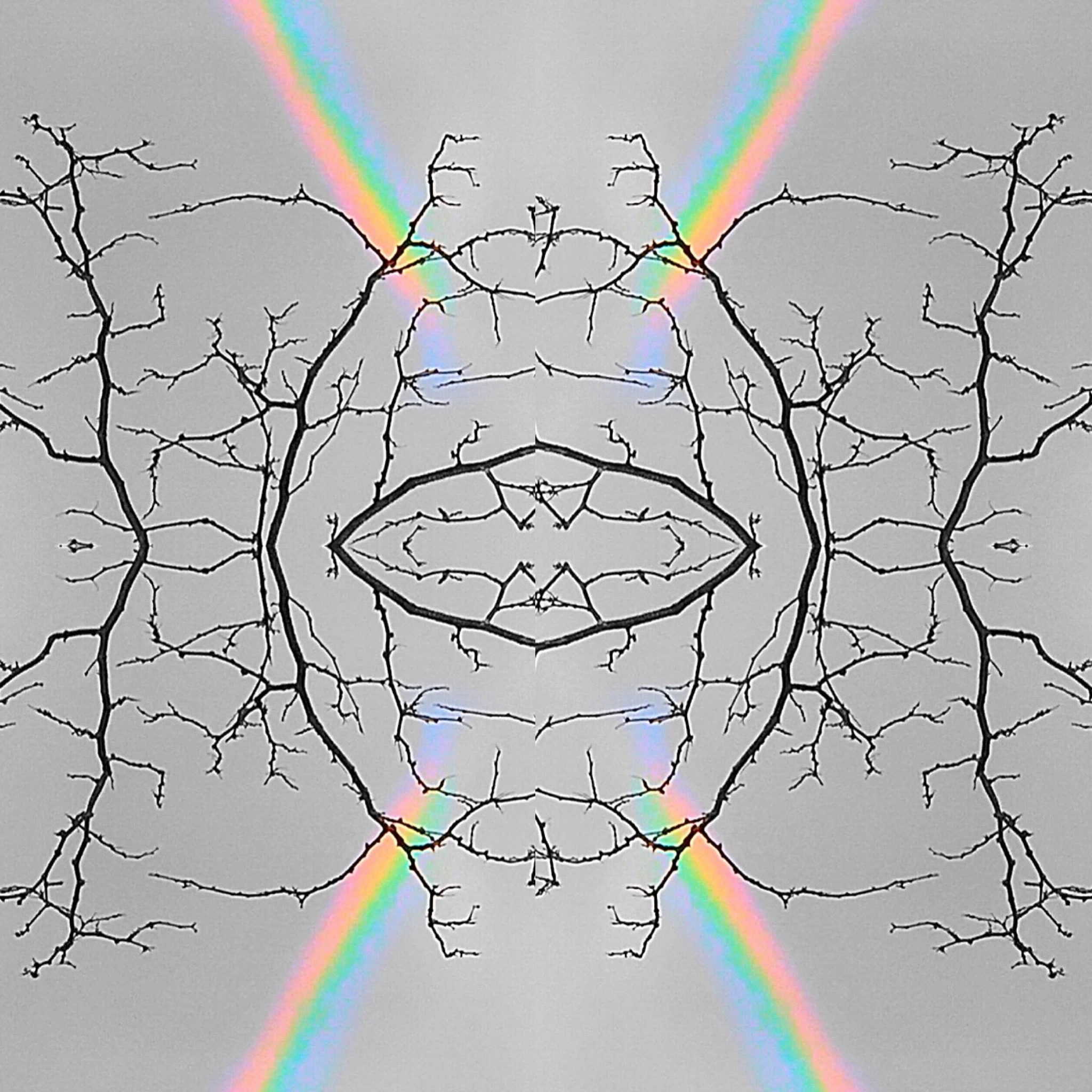 #3 Prism