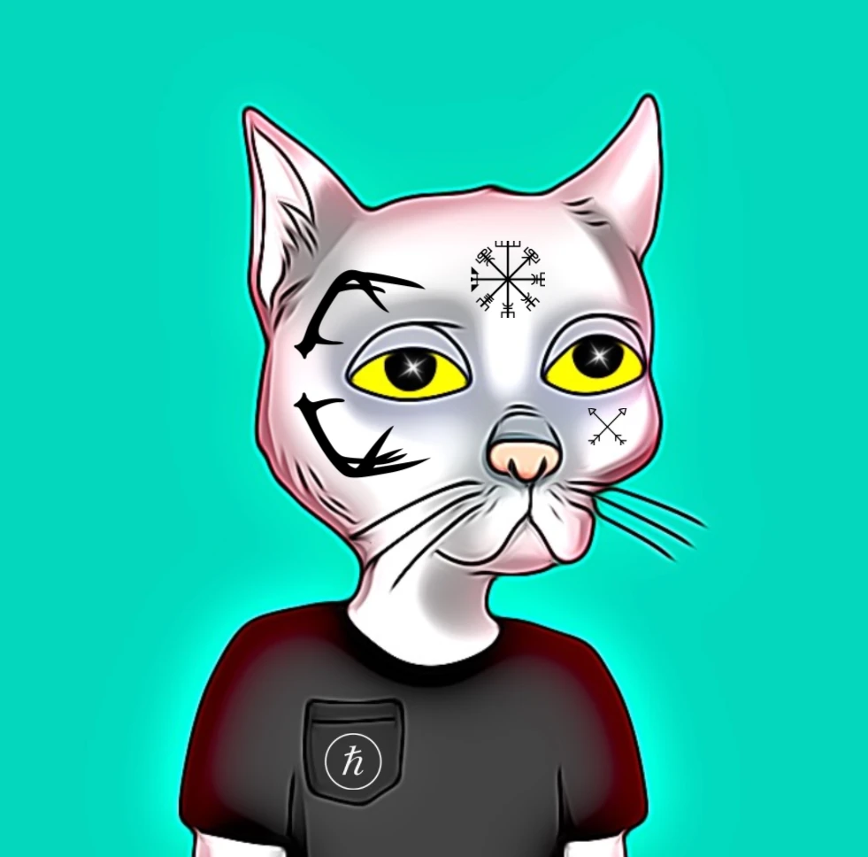 #14 Hash Cat