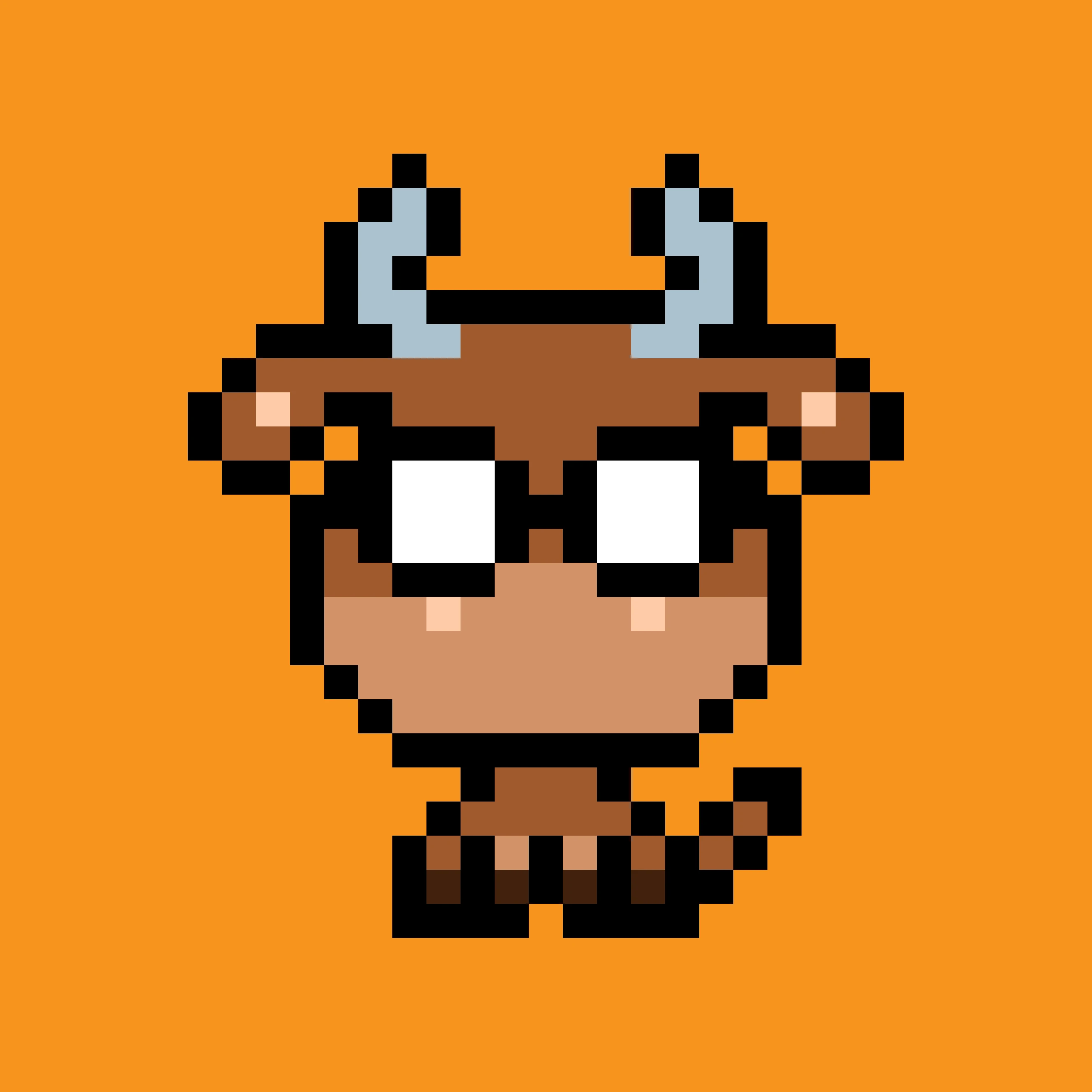 HBulls #12