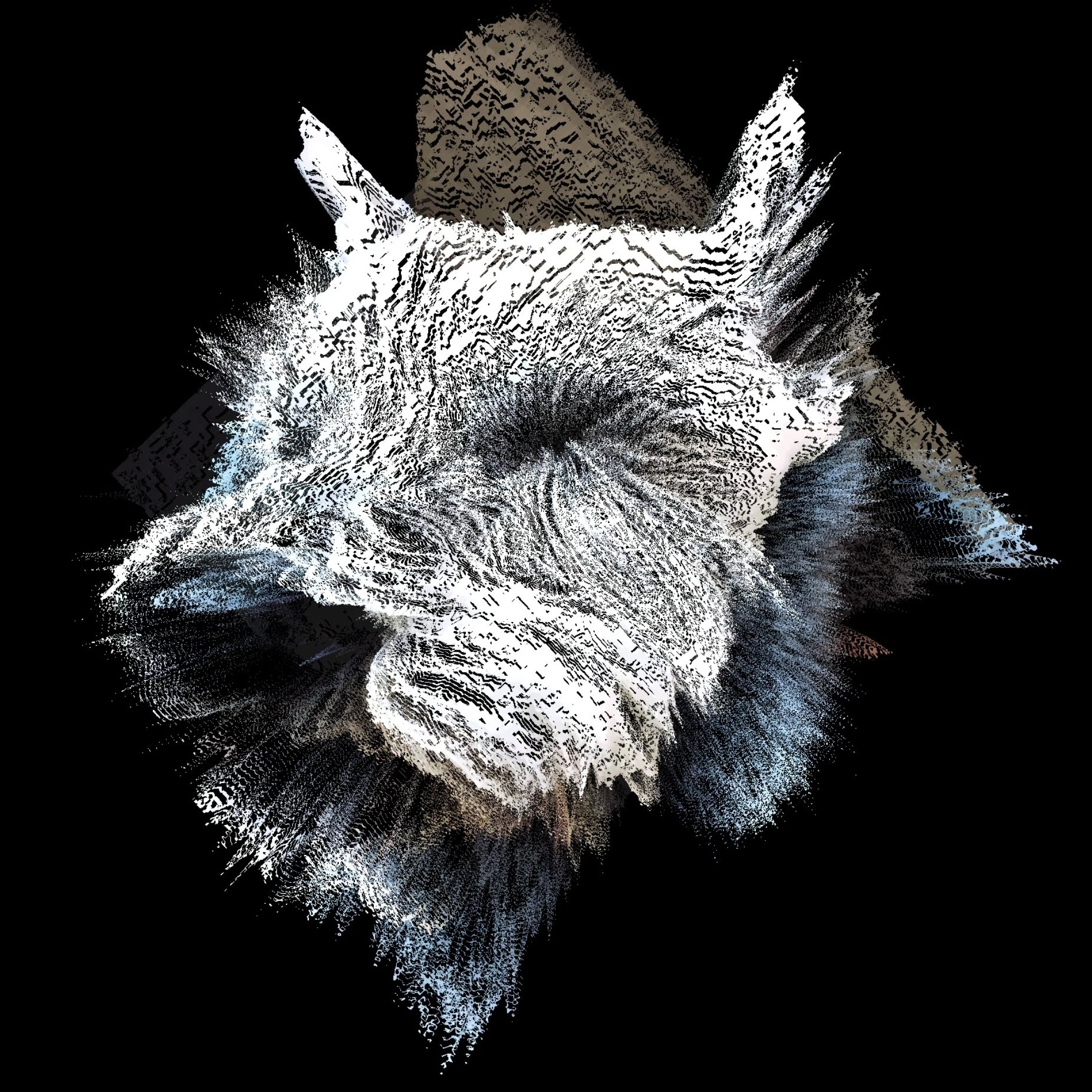 #7 TRIPSCAPE | "W