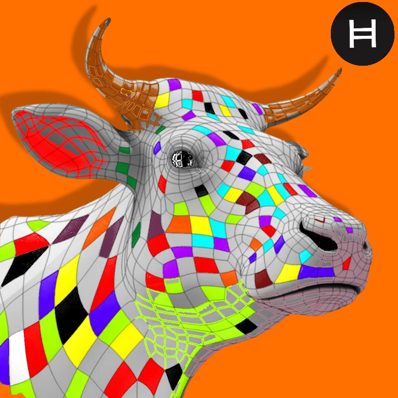 #4 HeDERA BULL