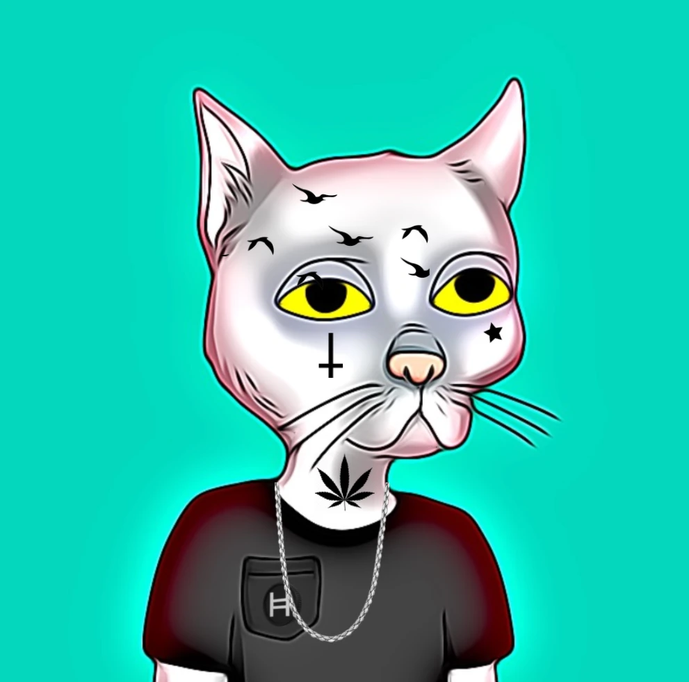 #4 Hash Cat