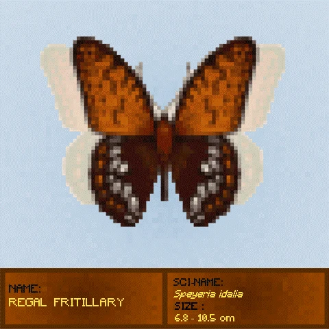 #23 Regal Fritill