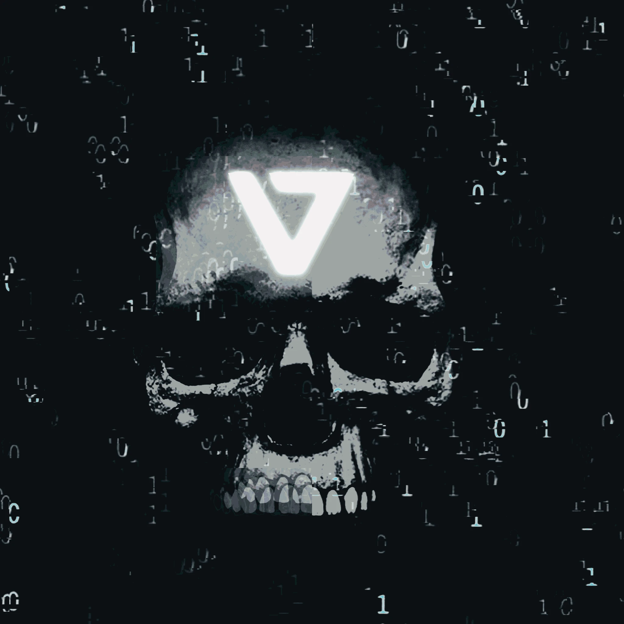 #19 Vccess Crew