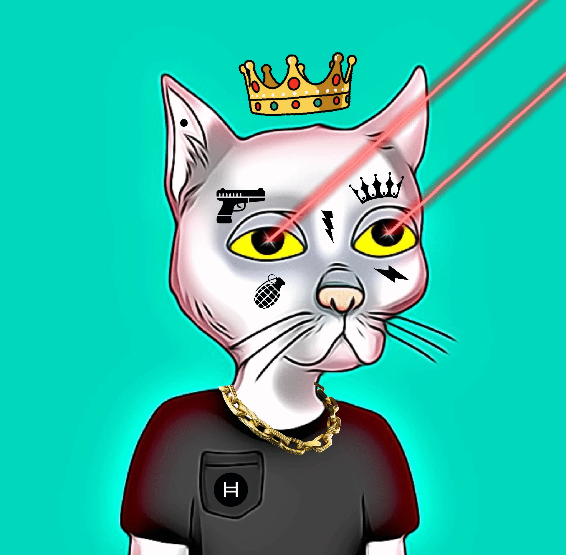 #21 Hash Cat