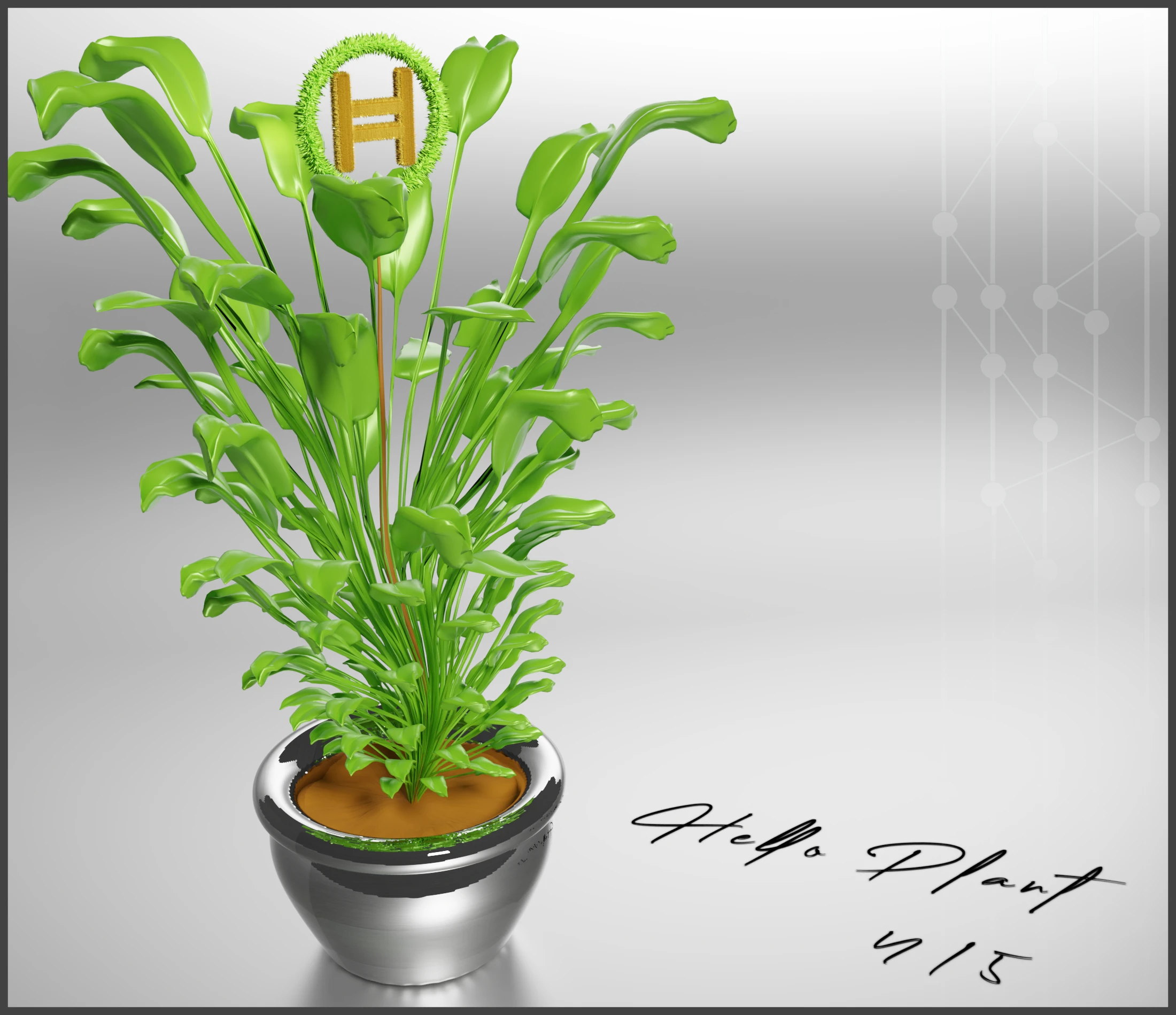 #4 HELLO PLANT /