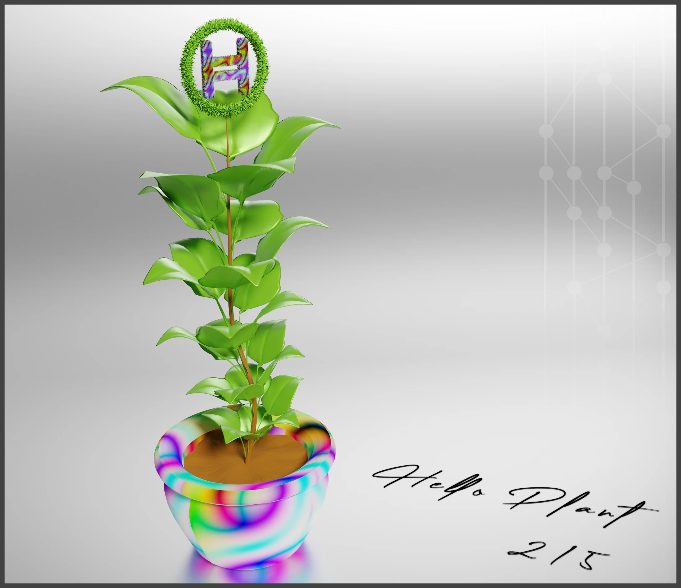 #2 HELLO PLANT /