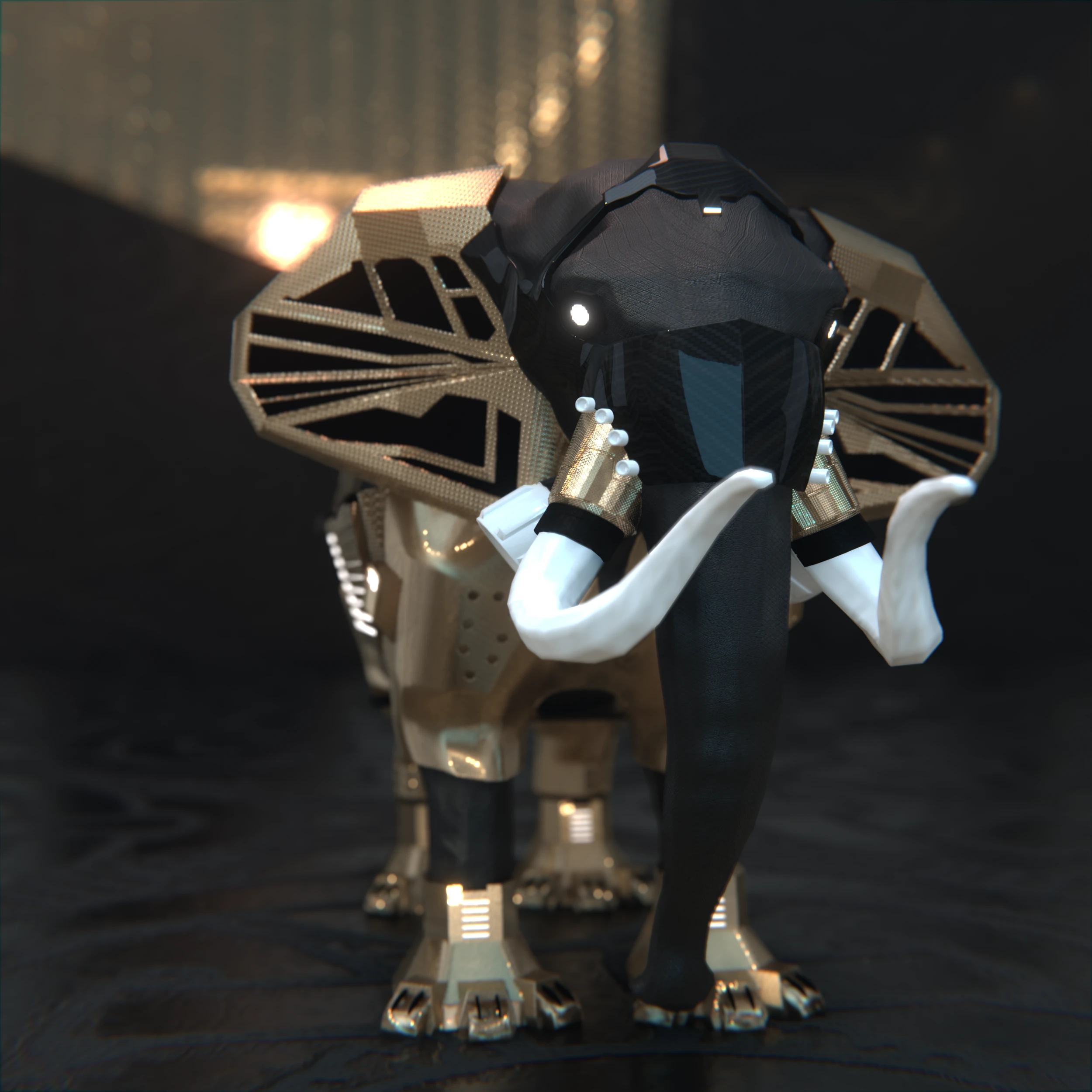 Baby Elephants Ha