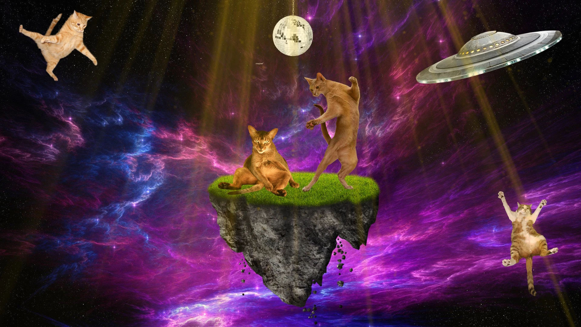 #2 Cats in Space