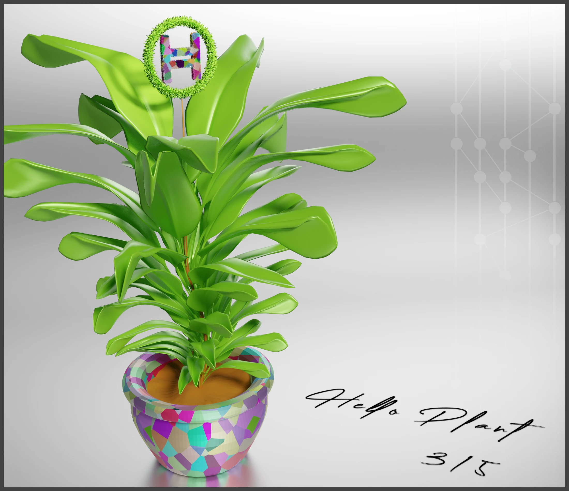 #3 HELLO PLANT /