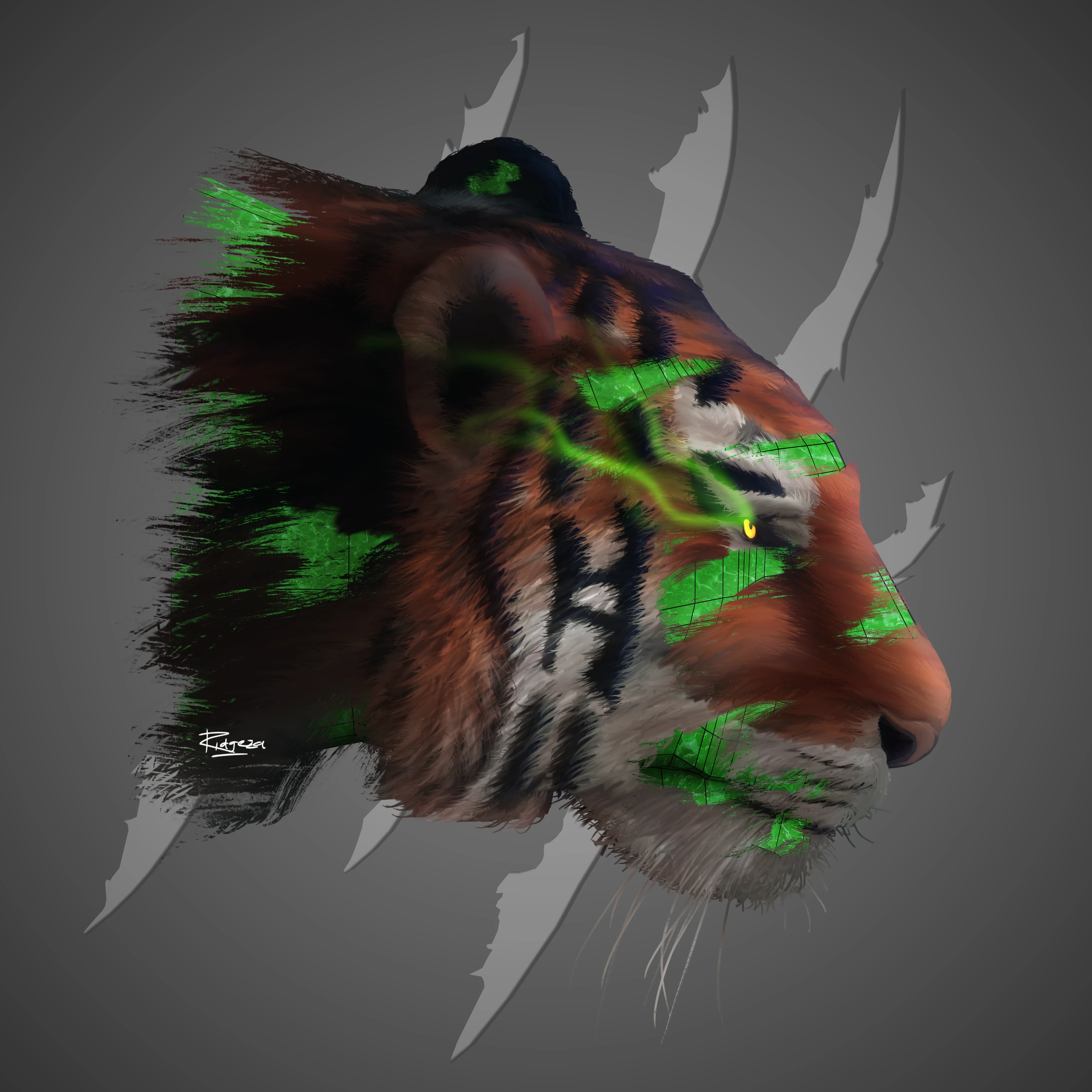 #2 Tiger Kryptoni