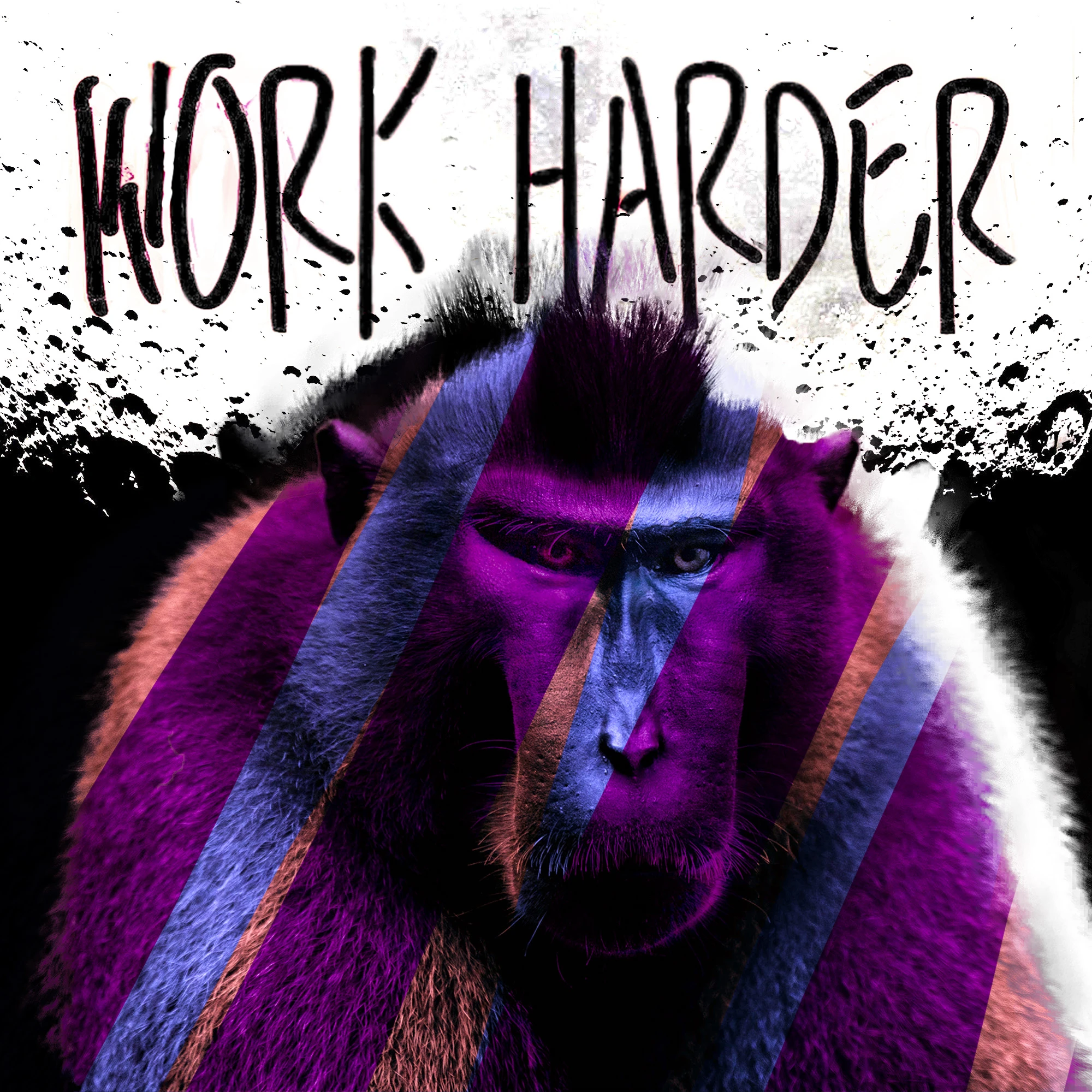 #5 Kong HIMSELF