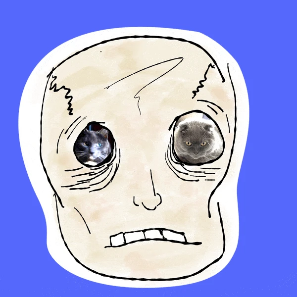 #12 Skully - Kitt