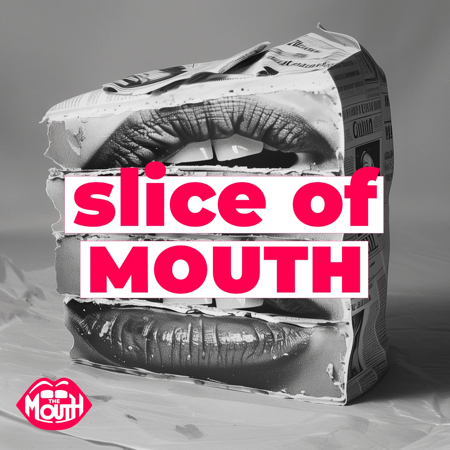 Slice of MOUTH #1