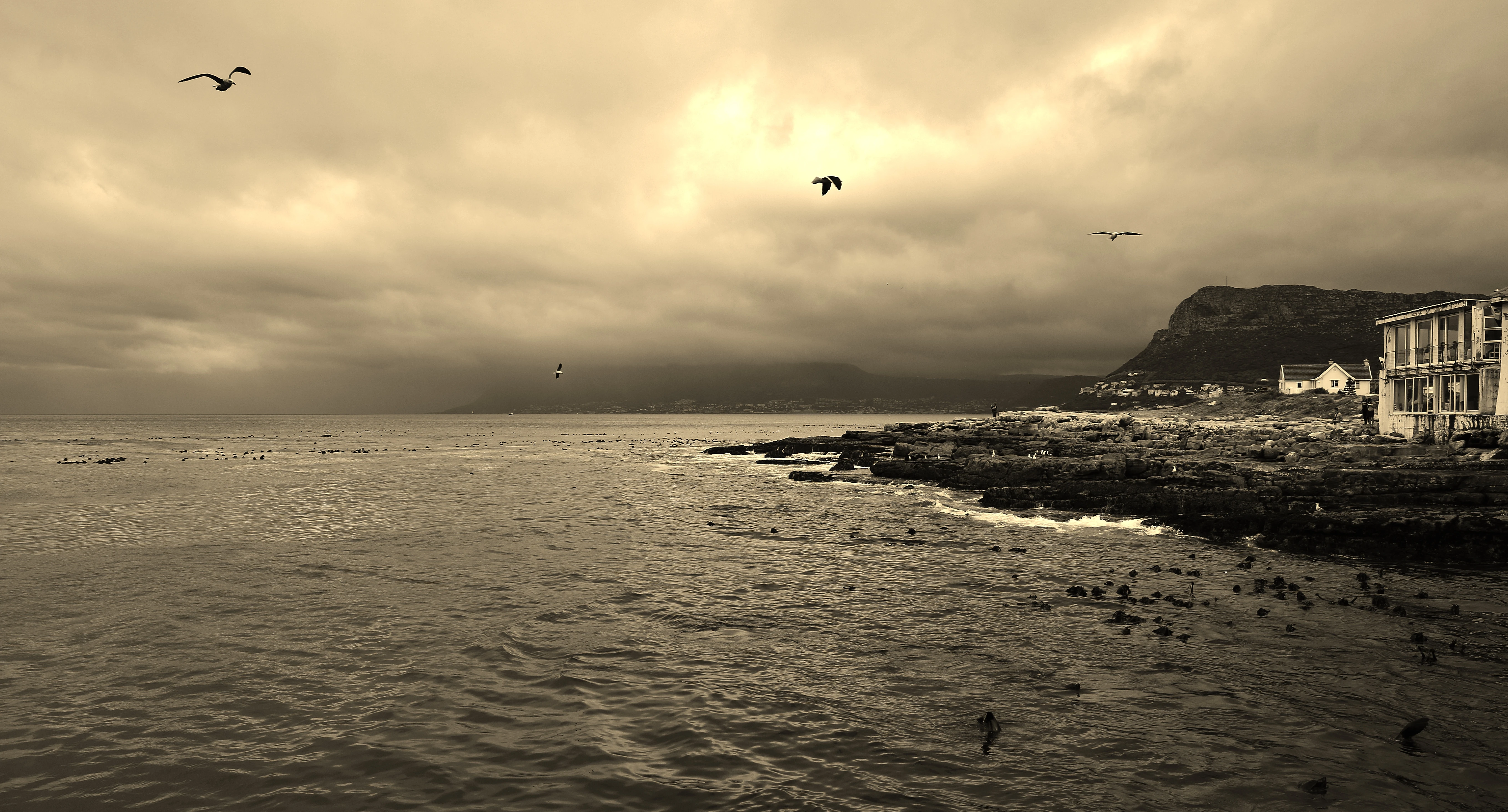 #3 Photograph