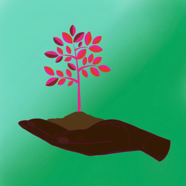 #38 Avax Sapling