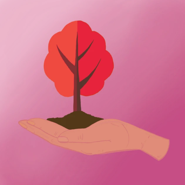 #566 Avax Sapling