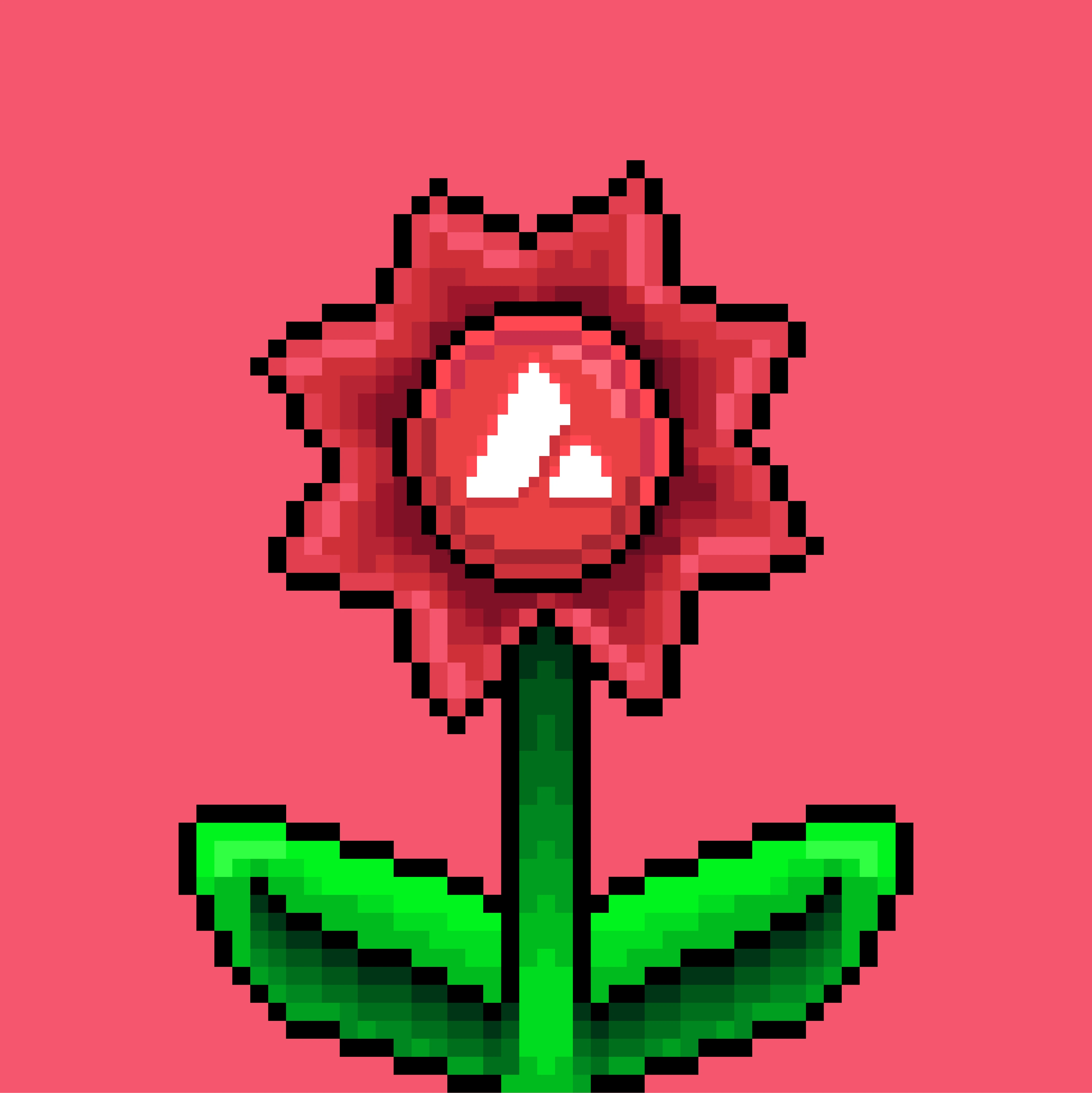 #14 Lucky Flowers