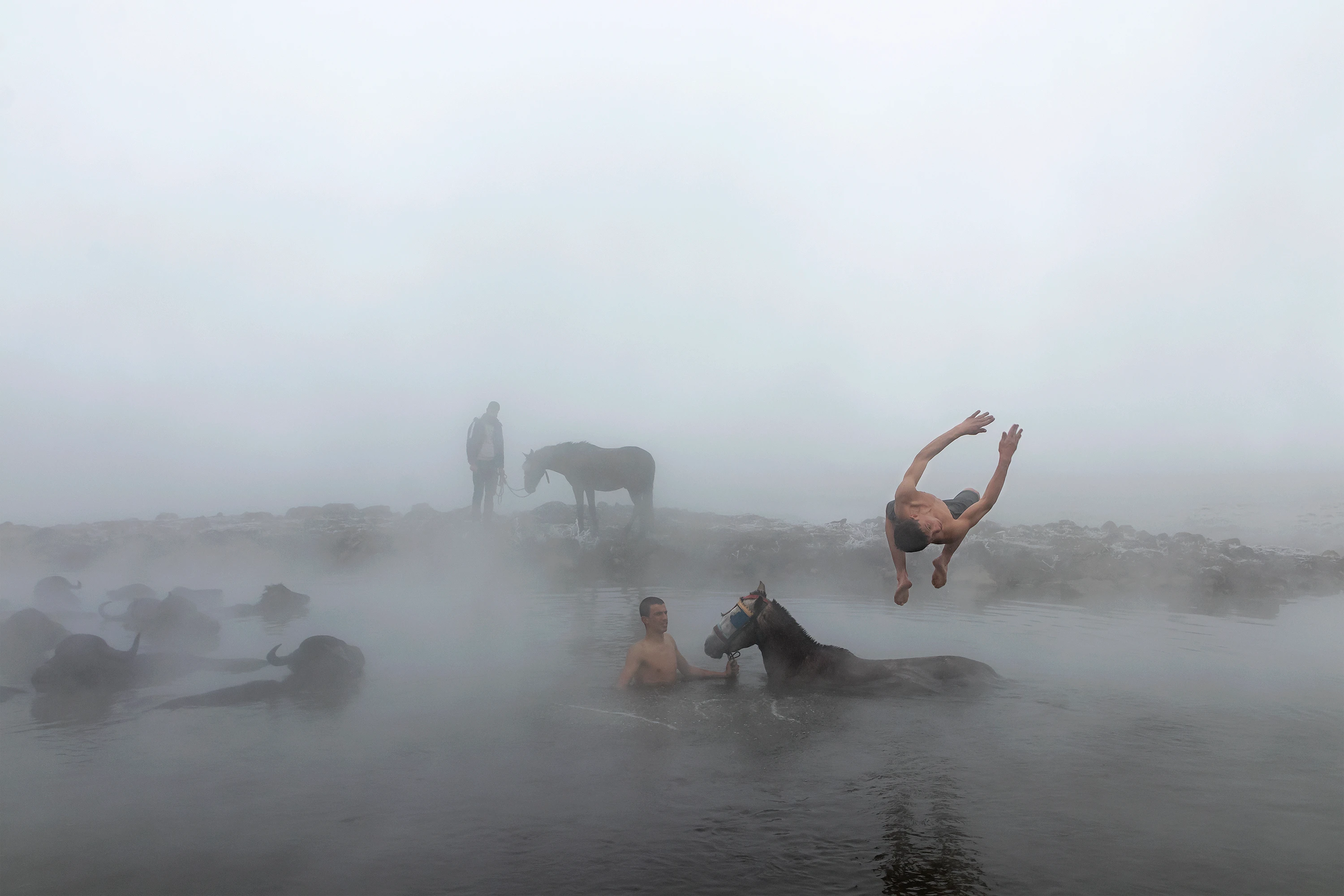 #2 Horse Bath