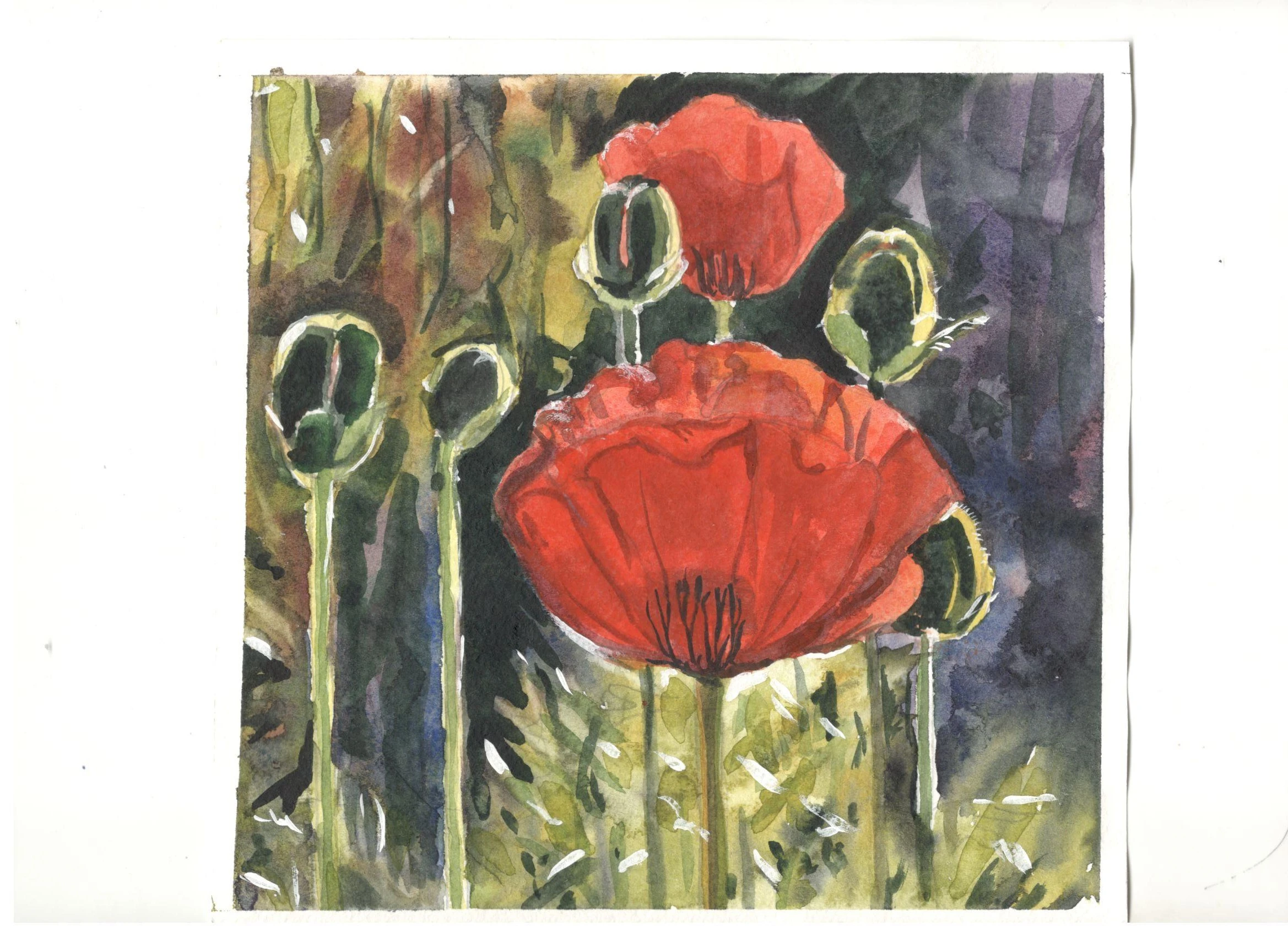 #2 Poppy