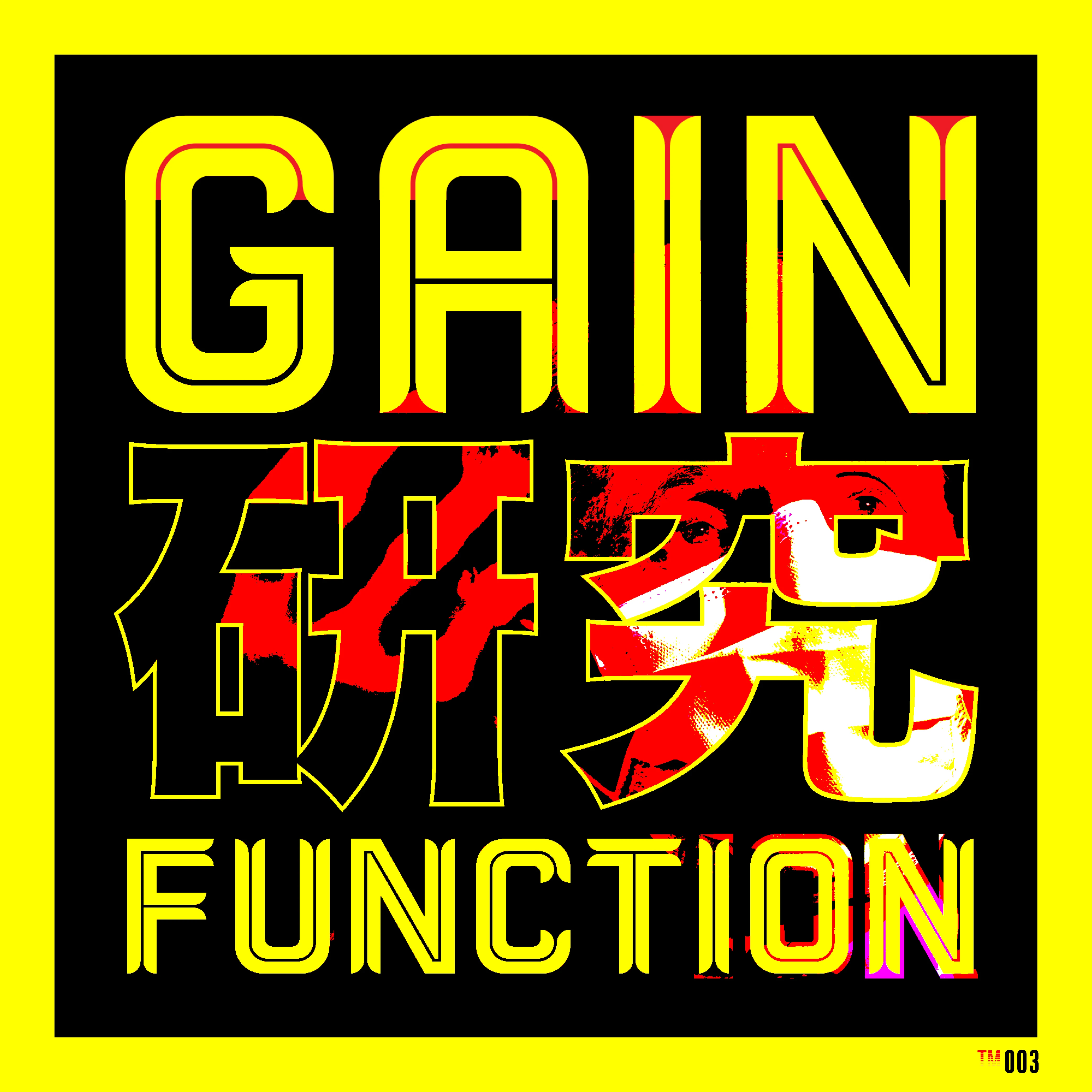 #3 ™ / Gain of Fu