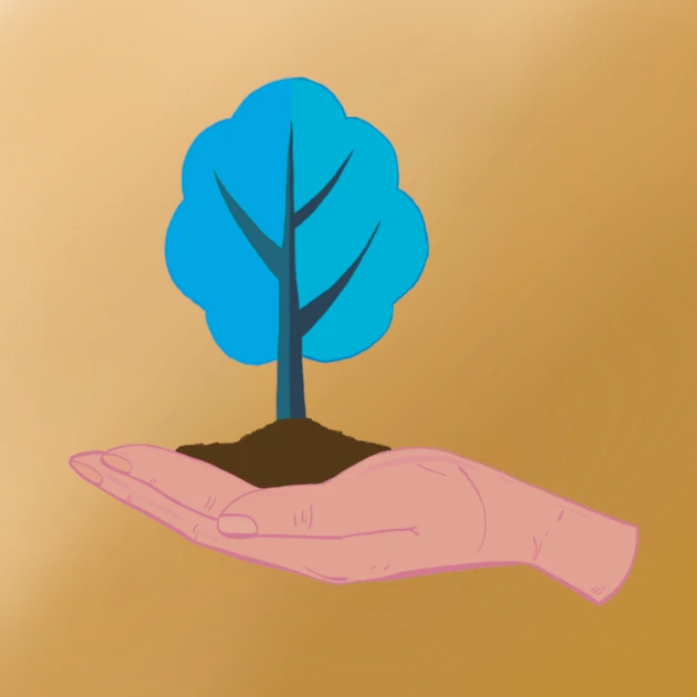 #166 Avax Sapling