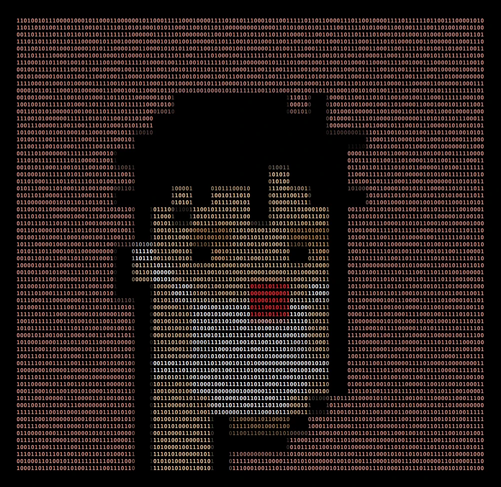 #427 Binary Punk