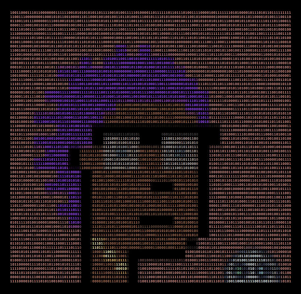 #15 Binary Punk