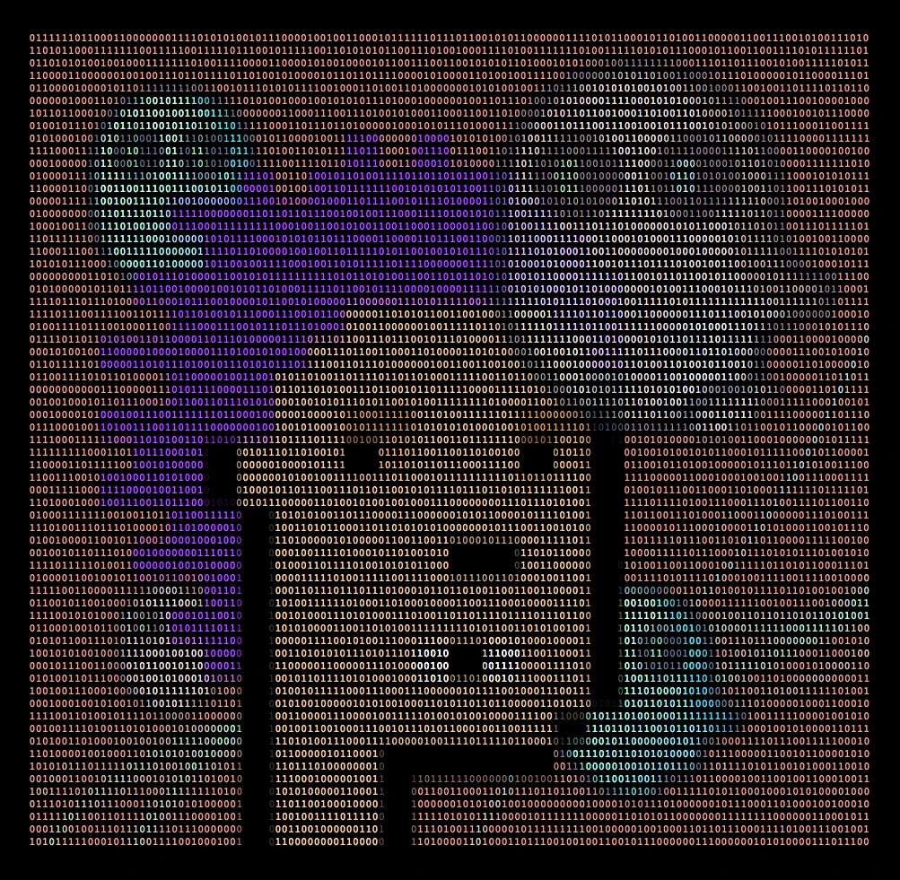 #25 Binary Punk