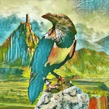#6 PEACEFUL CROW