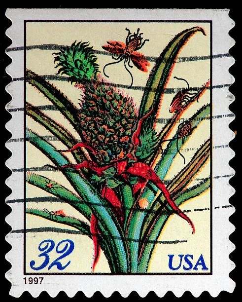 #70 Flowering Pin