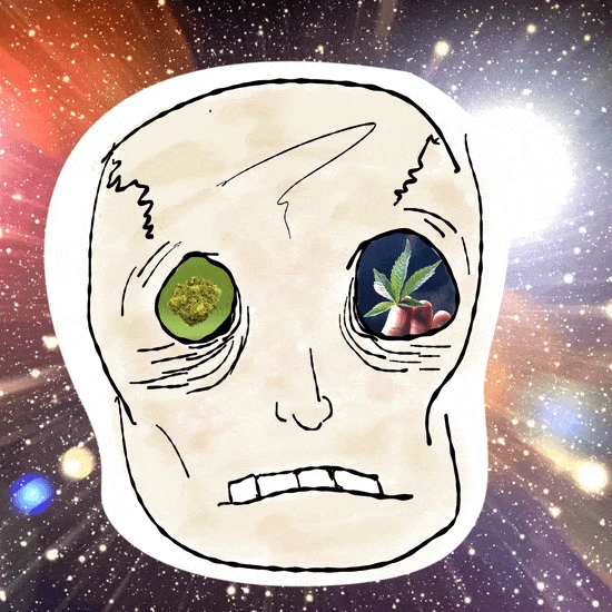 #19 Skully - Bud