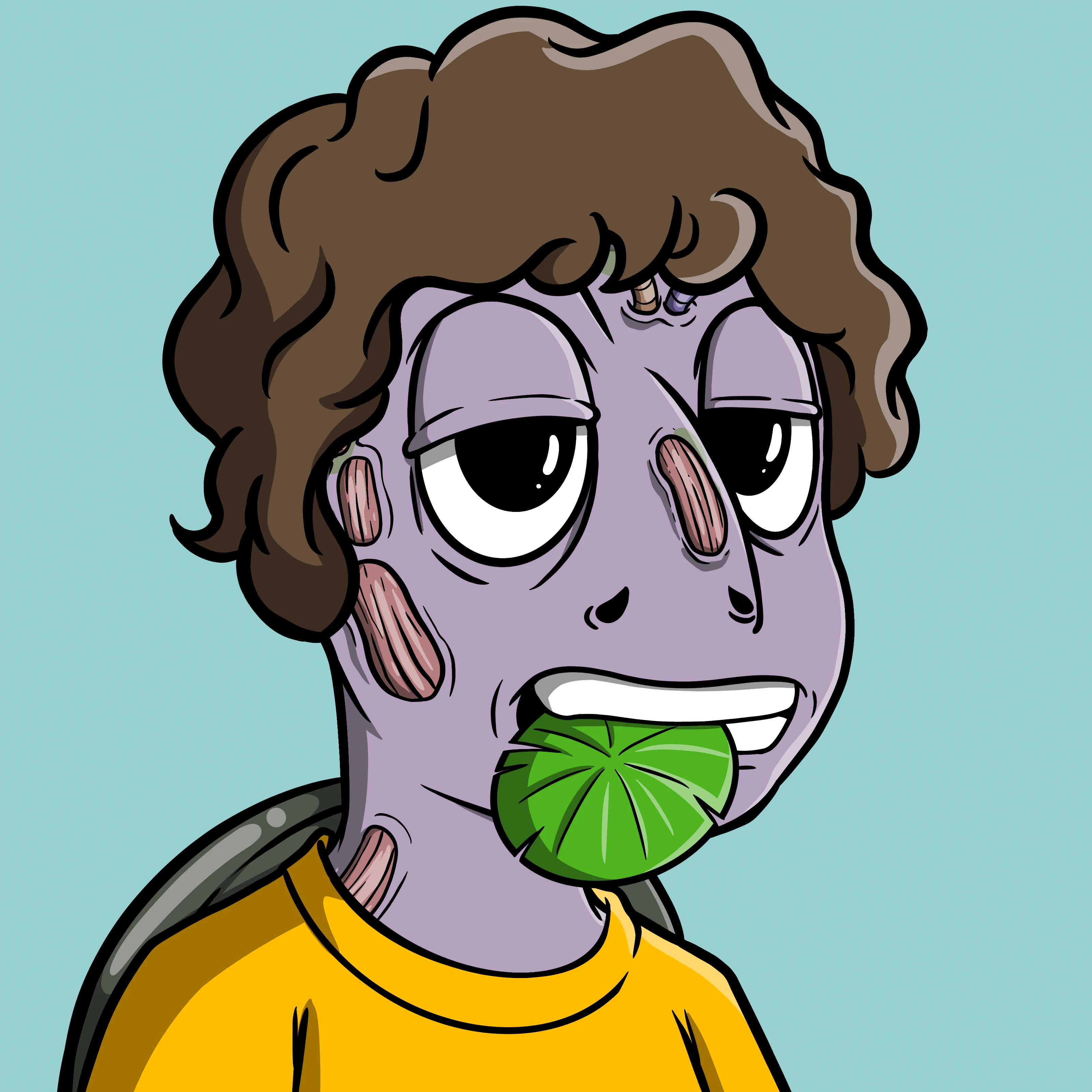 #55 Sea Hash Turt