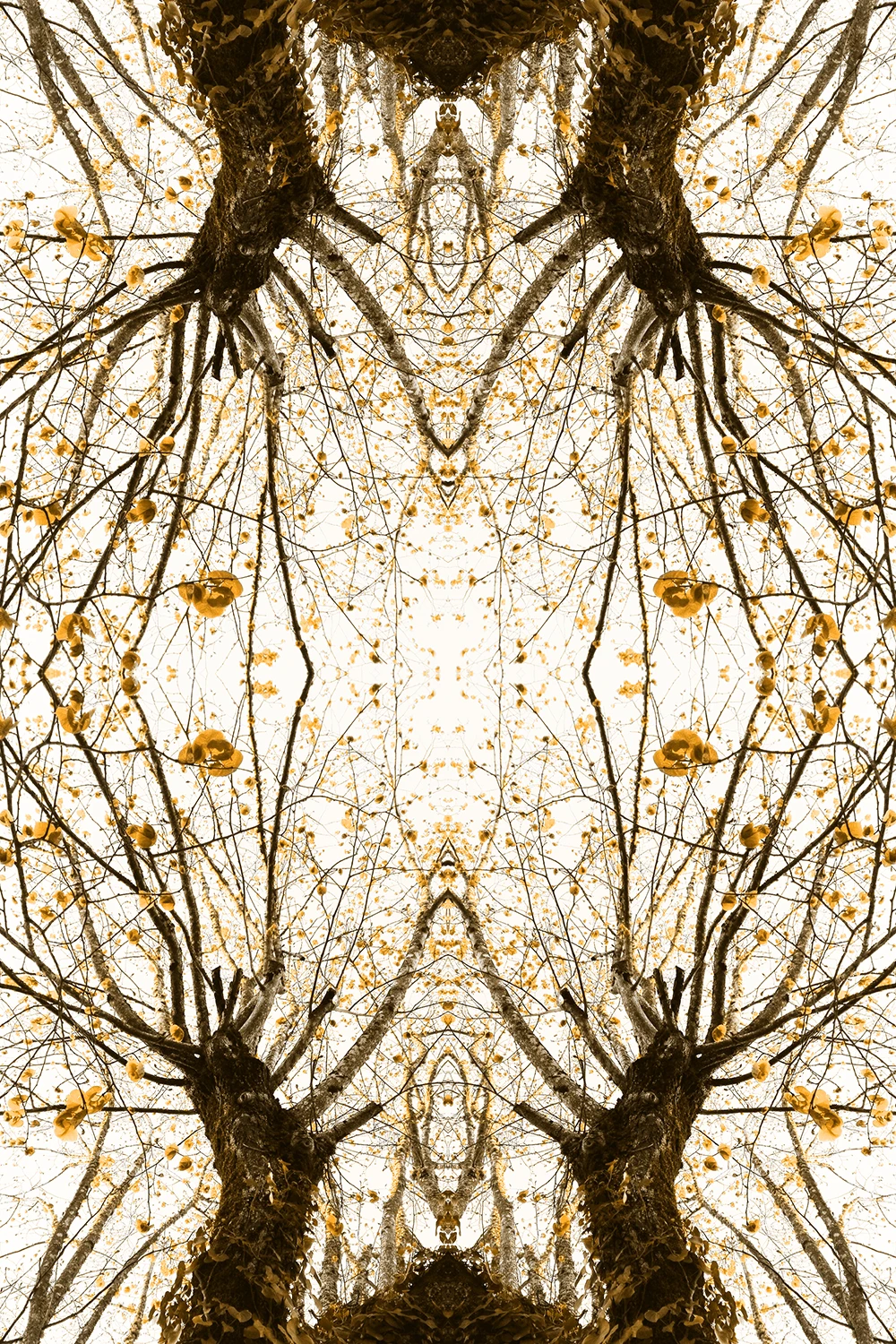 #10 Eclosion