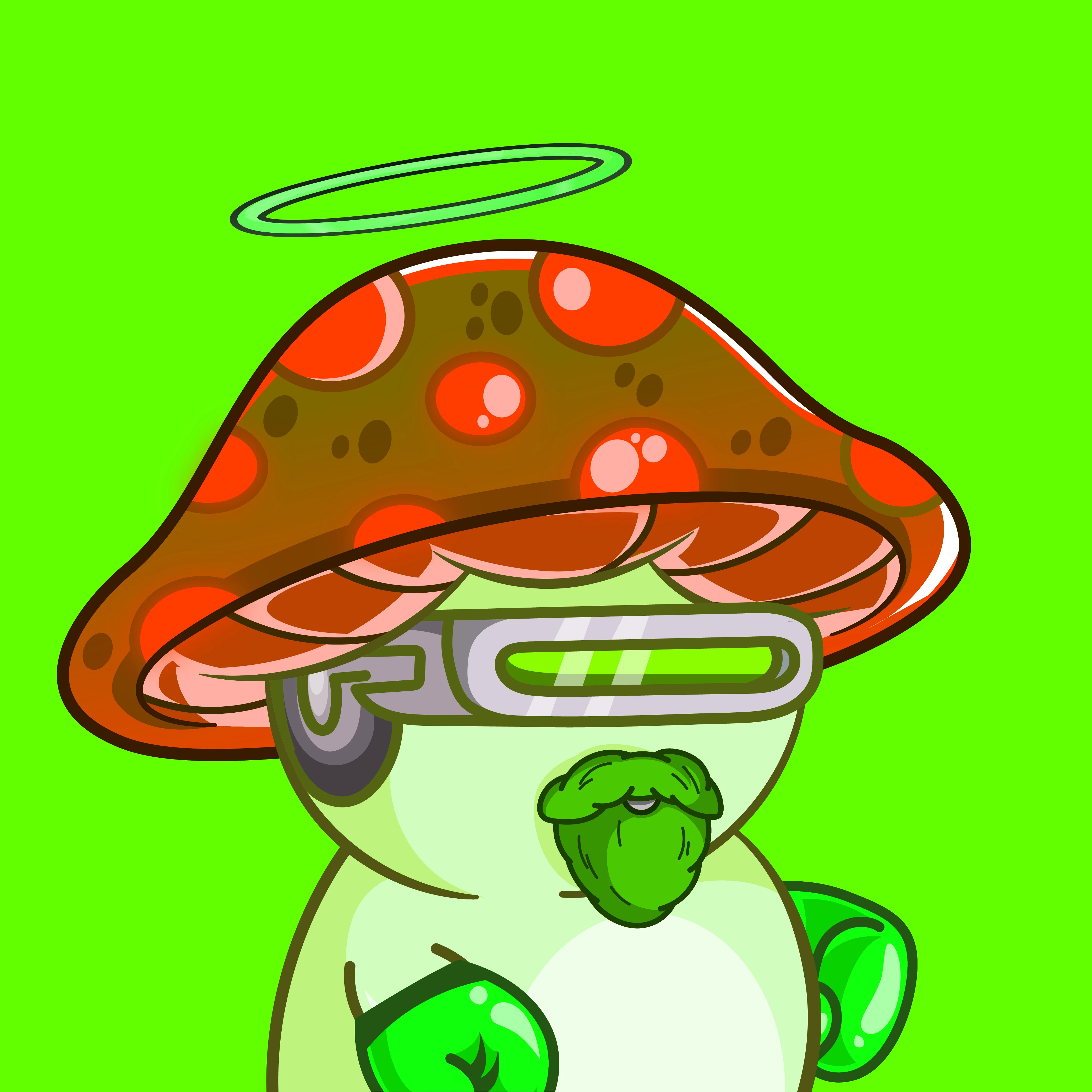 #5 Forest Fungi