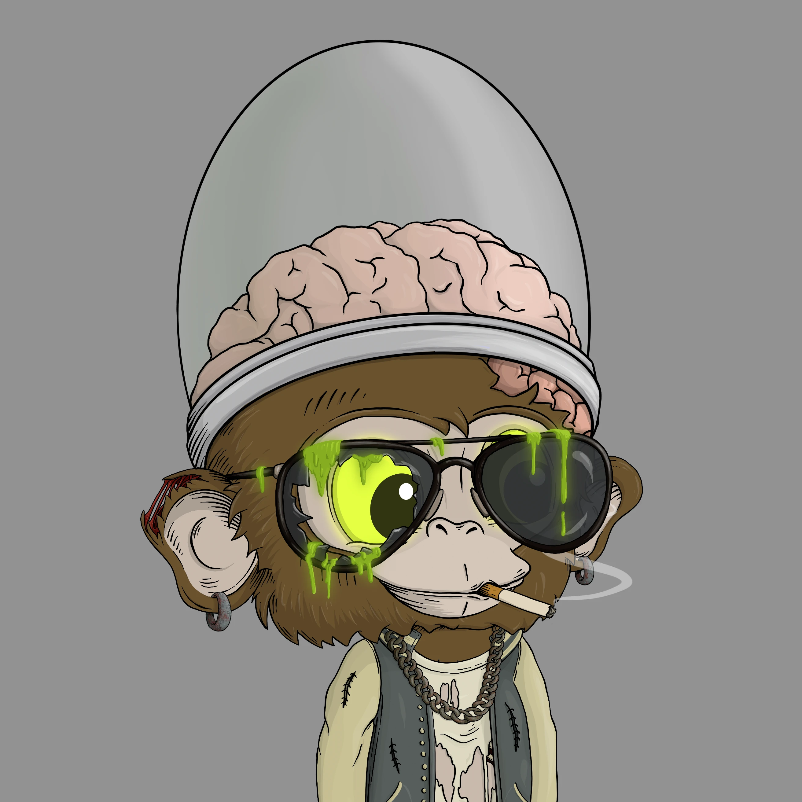 #1406 EvoChimp