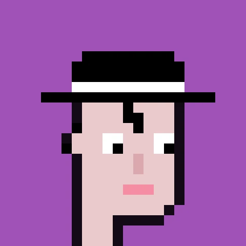 #3 JustPunk Miche