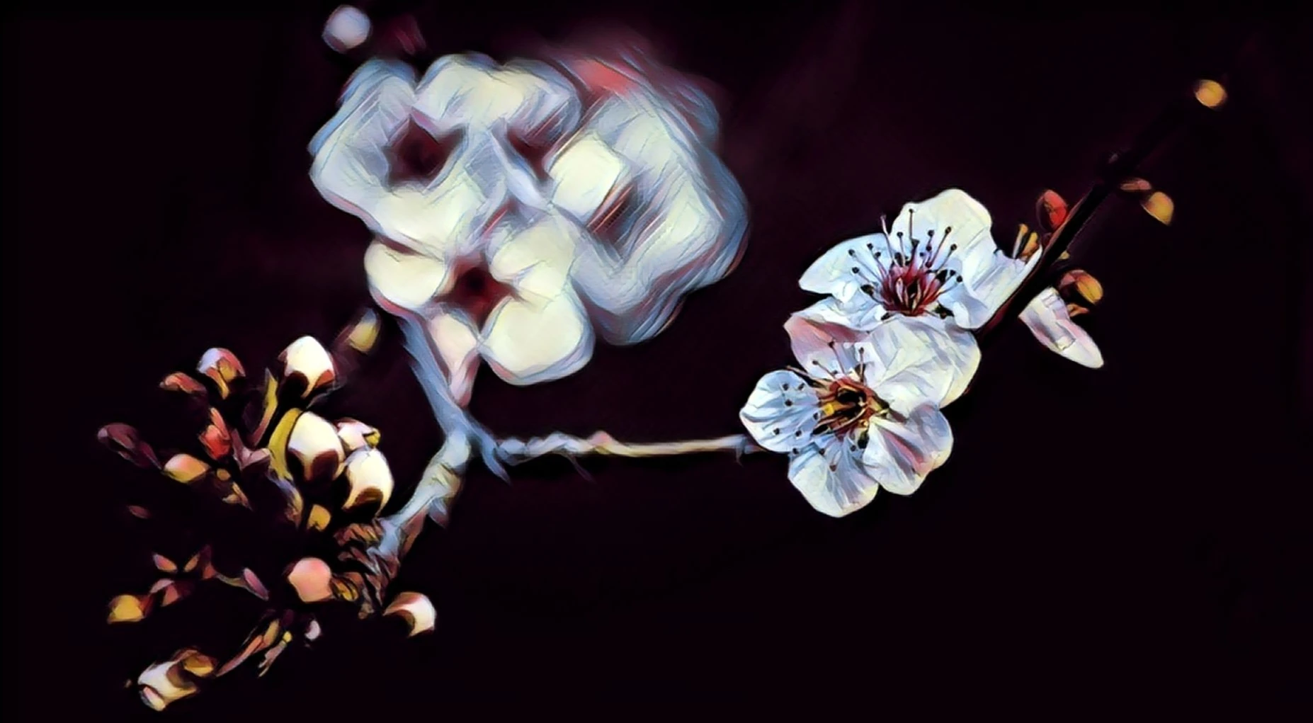 #4 Blossom