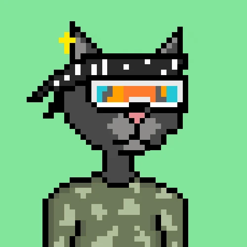 #22 Catstyle