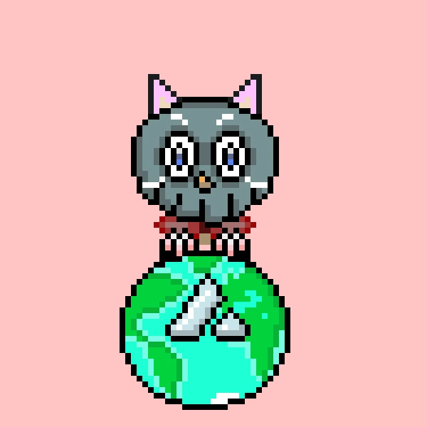 #6 NEKO