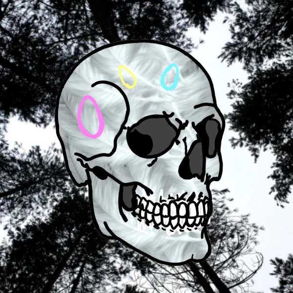 #35 OG Hippy Skul