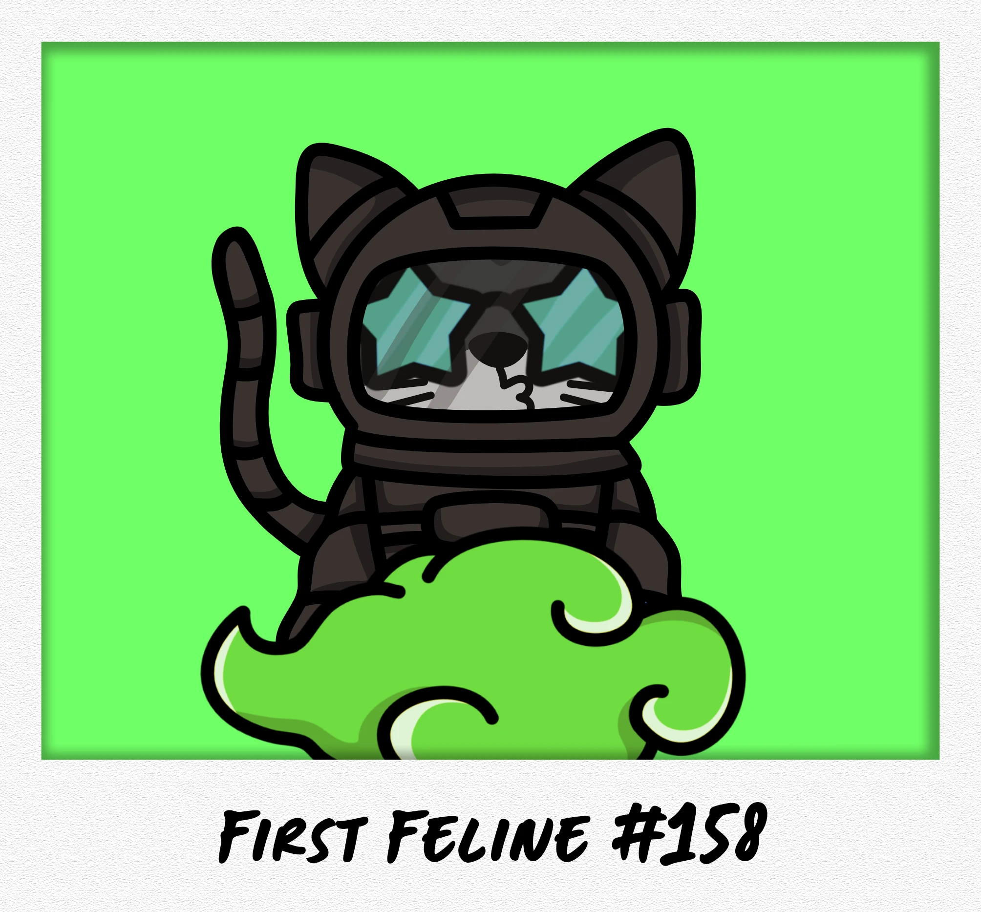 #158 First Feline