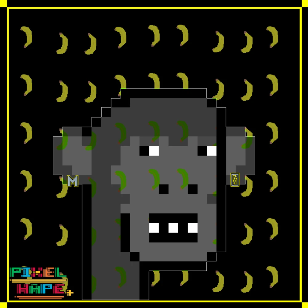 #112 PixelHApe+