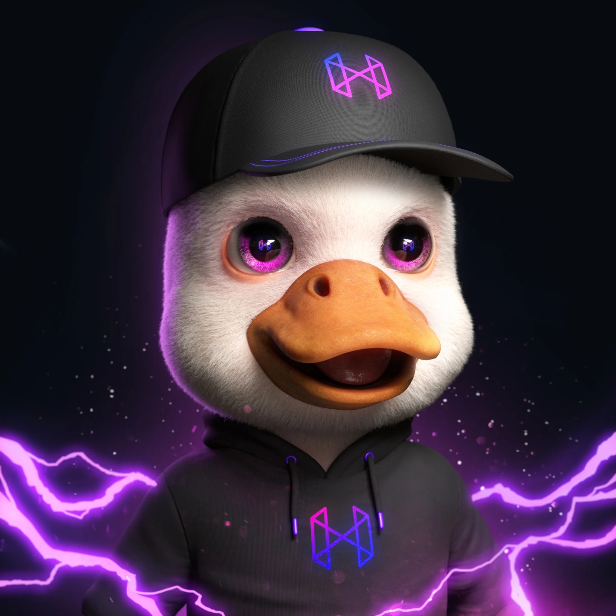 HELI Dazzle Ducks