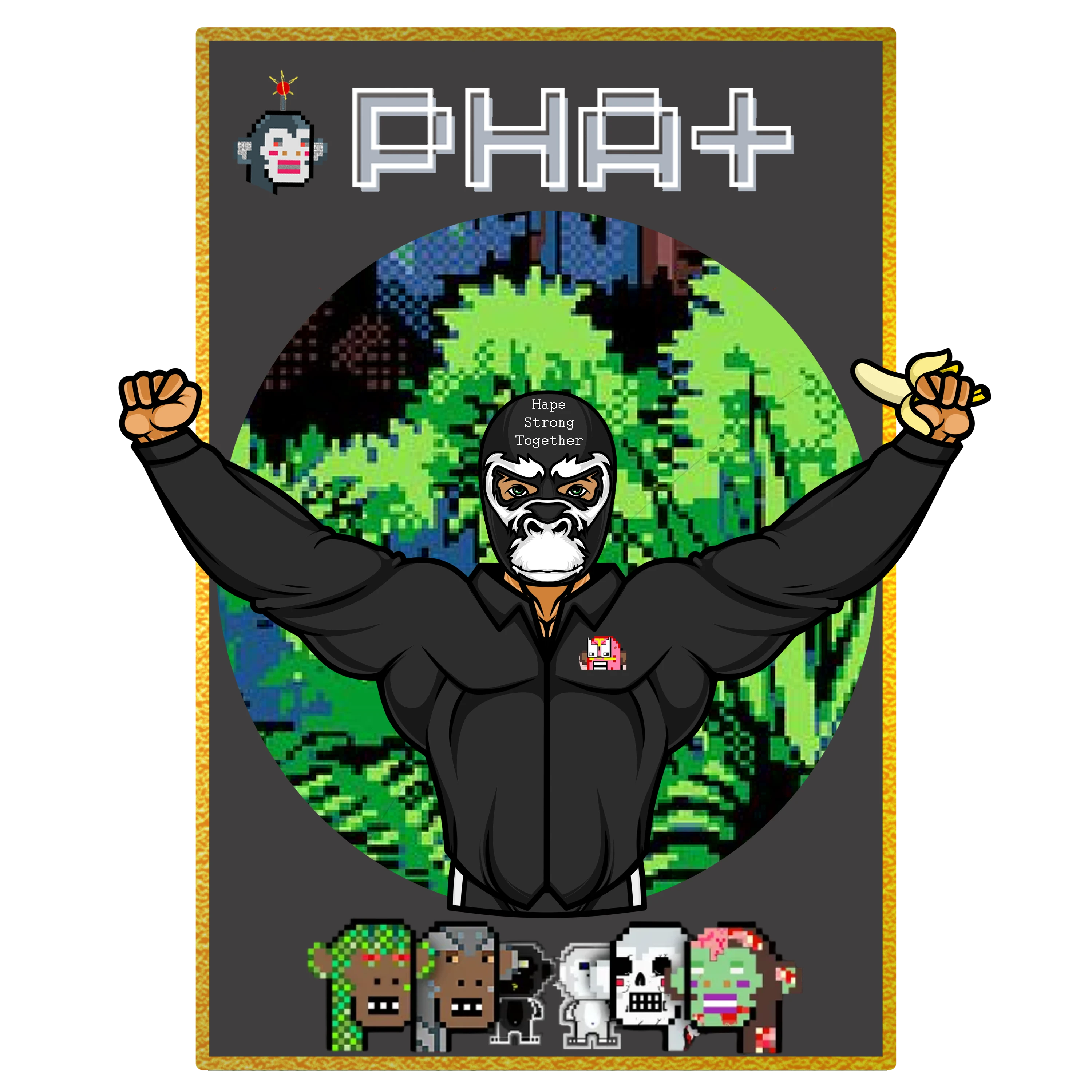 Luchador Hape+ #5
